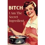 Independently published I Am The Secret Ingredient: Funny Retro Woman Housewife Blank Lined Notebook