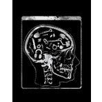 Independently published Metal Detector Metal Detector Brain X ray Image Motif: Notebook 8.5x11 inch 110 pages