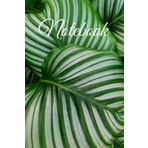 Independently published Notebook Houseplant Calathea: Notebook Plants Cover Blank Lined 6x9'' 120 pages