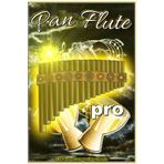 Independently published Pan Flute pro, manuscript paper, 6 x 9 inch, 120 pages, music sheets, gifts for musicians, blank music notebook, music accessories, school music books, For beginners & advanced composers