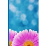 Independently published Pink Daisy College Ruled Notebook: Pretty floral design perfect for note-taking, sketching, journaling and so much more. Great for home, school or ... a great gift any time of year or occasion.