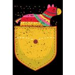Independently published Pocket Pinata Serape Cinco De Mayo Mexican Fiesta Party: Cinco De Mayo Party Decorations Mexican Gifts | Dot Grid Journal, Notebook or Organizer | ... book, Scheduler, Task Checklist | 6x9 Inches