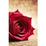 Independently published Red Rose Dot Journal