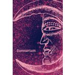 Independently published Somnarium - The Ultimate Dream Journal designed by psychologists to Record and Reflect on your Dream: Starry Sky Red