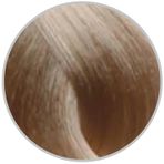 Inebrya 11.1 Superlight Platinum Very Light Ash 100 ml Saç Boyası