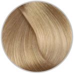 Inebrya 12.1 Superlight Platinum Blonde Extra Ash 100 ml Saç Boyası