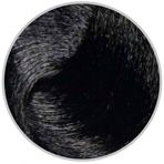 Inebrya Color Keten Tohumu Yağı ve Aloe Vera İçeren 100 ml 1.0 Black Saç Boyası