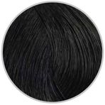 Inebrya Color Keten Tohumu Yağı ve Aloe Vera İçeren 100 ml 1 Pure Black Saç Boyası