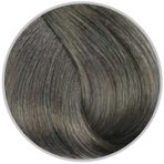 Inebrya Color Keten Tohumu Yağı ve Aloe Vera İçeren 8.11 Light Blonde Intense ASH 100 ml Saç Boyası