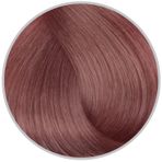 Inebrya Color Keten Tohumu Yağı ve Aloe Vera İçeren 8.27 Light Powder Blonde 100 ml Saç Boyası