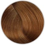 Inebrya Color Keten Tohumu Yağı ve Aloe Vera İçeren 8.3 Light Blonde Golden 100 ml Saç Boyası