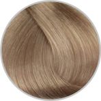 Inebrya Color Keten Tohumu Yağı ve Aloe Vera İçeren 9.1 Very Light Blonde ASH 100 ml Saç Boyası