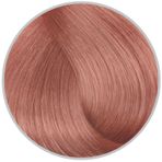 Inebrya Demi Color Demipermanent Yarı Kalıcı Saç Boyası 100 ml | 10.16 Blonde Platinum Light Ash Red