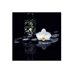 INFINITE LOVE Erkek Parfüm Edp Hugo Boss Hugo-hugo / Hugo Boos-aromatik 50 Ml. E13