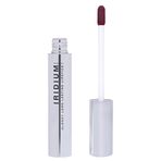 Influence 04 Plum Beauty Glossy Long Lasting Lipstick