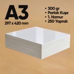 Informal Fotokopi Kağıdı Premium Kalite A3 300 gr Parlak Kuşe 250 Yaprak 1. Hamur