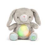 Ingenuity Heart To Hugs Sylvi Işıklı, Titreşimi Ve Müzikli Yatıştırıcı Pelüş Oyuncak