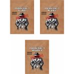 Ingilizce Versiyon Dedektif Oyunu Üçlü Paket #2