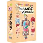 İnsan Vücudu Bilgi Kartları - Teleskop Popüler Bilim