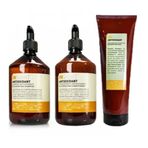 Insight Antioxidant Rejuvenating Antioksidan 400 ml Şampuan 400 ml Krem 250 ml Maske