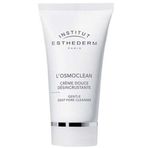 Institut Esthederm Gentle Deep Pore Cleanser 75 ml Cilt Temizleyici