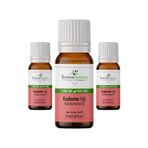 İntense Natural Kuşburnu Çekirdeği Yağı Soğuk Sıkım 20 ml X 3 %100 Saf Ve Doğal Rosehip Seed Oil
