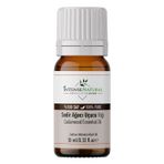 İntense Natural Sedir Ağacı Yağı 10 ml%100 Saf ve Doğal Cedarwood Essential Oil