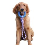 İnteraktif Çekme Halatlı Köpek Oyuncağı 43 cm