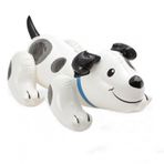 Intex IBN57521 108x71 cm Köpek Binici
