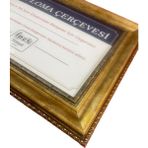 İpek Sanat Diploma Çerçevesi Soft Gold Renk - Hakiki Camlı Ürün - 25 x 35 Boyutta - 25x35