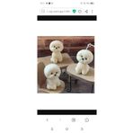 ipekhobi Şirin Köpek Silikon Mum Kalıbı