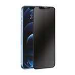 iPhone 11 3D Antistatik Hayalet Cam Ekran Koruyucu