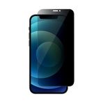 İphone 12 Mini Privacy Gizli Hayalet Tempered Cam Ekran Koruyucu-(5775)