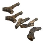 iplusmile 10 Parça Bryozoan fosil tabakası çocuk oyuncakları çocuklar için araçlar modeller paleontoloji öğretim örneği okyanus modeli heykel sert taş süslemek