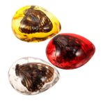 iplusmile 3 Pcs Balmumu Böcek Örneği Böcek Amber Için DIY Böcek Amber Dekorasyon Amber Koleksiyonu Amber Örnek Amber Taş Kolye Amber Taş Örneği Amber