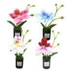 iplusmile 4 Adet Minyatür Orkide Saksıları Bebek Evi Bitkileri Aksesuarları Mini Yapay Çiçekler Bebek Evi İçin Bitkiler Küçük Sahte Yeşillik Bonsai Süsü