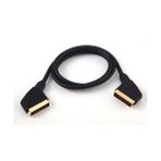 Ipoint 55241 Usb 2.0 Scart Kablo