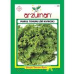 İRİ KIVIRCIK MARUL TOHUMU 10 GR ORT 7500 AD TOHUM