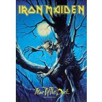 Iron Maiden – Fear of the dark Live bayrak