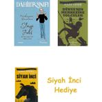 İş Bankası Kültür Yayınları Dahiler Sınıfı - Steve Jobs: Bilgisayara Can Veren Adam + Dünyanın Merkezine Yolculuk + Siyah Inci Hediye