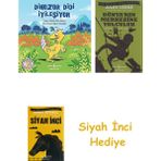 İş Bankası Kültür Yayınları Dinozor Didi Iyileşiyor + Dünyanın Merkezine Yolculuk + Siyah Inci Hediye