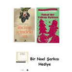 İş Bankası Kültür Yayınları İncirin İçindeki Arı + Tuhaf Bir Yılbaşı Öyküsü + Bir Noel Şarkısı