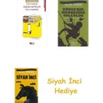 İş Bankası Kültür Yayınları Küçük Hafiyeler - Emil ve Dedektifler + Dünyanın Merkezine Yolculuk + Siyah Inci Hediye
