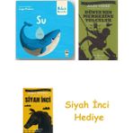 İş Bankası Kültür Yayınları Su + Dünyanın Merkezine Yolculuk + Siyah Inci Hediye