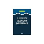 İş Hukukunda Yabancıların Çalıştırılması Hasan Alparslan Ayan 2019/01