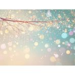 Işıklı Bokeh Arka Plan – 200X150CM, Stüdyo Fonu - -