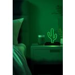 IŞIKLI Işıklı Tablo Marketi Cactus Figürlü Neon Gece Lambası