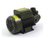 isiltikidsmoda Style QB60 0.5 Hp Elektrikli Su Dinamosu ( Lisinya )