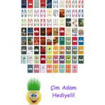 Iskender Pala 78 Kitap Seti + Çim Adam Hediye - Hayır