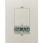İslam Ansiklopedisi Cilt: 22 (Ciltli): İhvan-ı Safa İskit